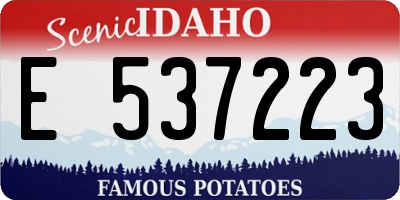 ID license plate E537223