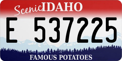 ID license plate E537225