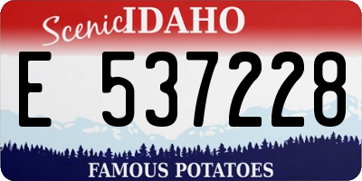 ID license plate E537228