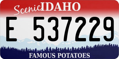 ID license plate E537229