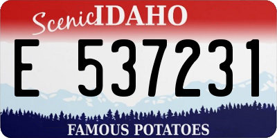ID license plate E537231
