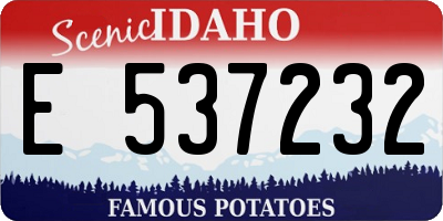 ID license plate E537232
