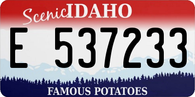 ID license plate E537233