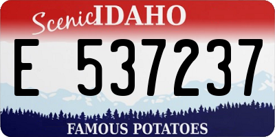 ID license plate E537237