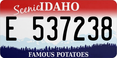 ID license plate E537238
