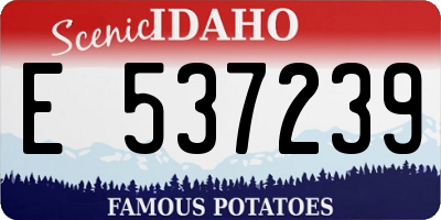 ID license plate E537239