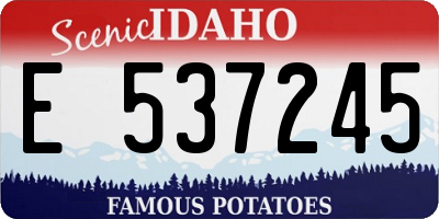 ID license plate E537245