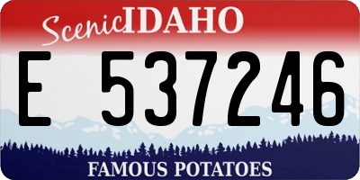 ID license plate E537246