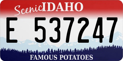 ID license plate E537247