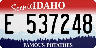 ID license plate E537248
