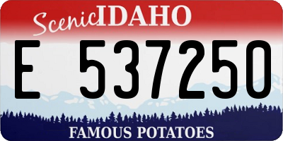 ID license plate E537250
