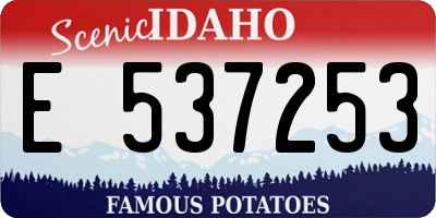 ID license plate E537253