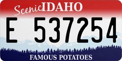 ID license plate E537254