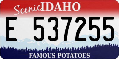 ID license plate E537255