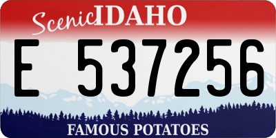ID license plate E537256