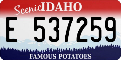 ID license plate E537259
