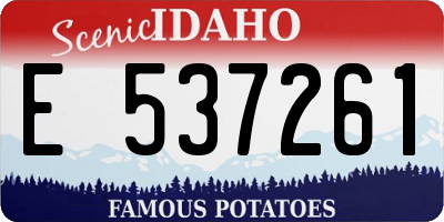 ID license plate E537261