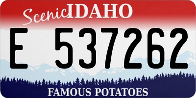 ID license plate E537262