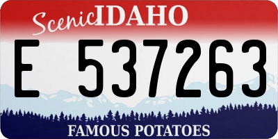 ID license plate E537263