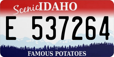ID license plate E537264