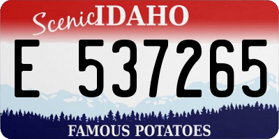 ID license plate E537265