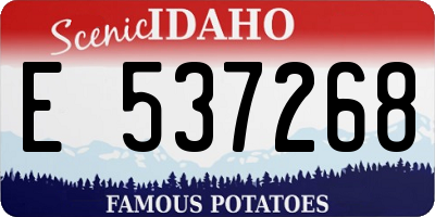ID license plate E537268
