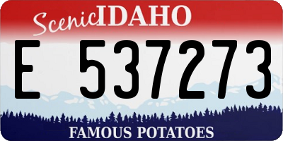 ID license plate E537273