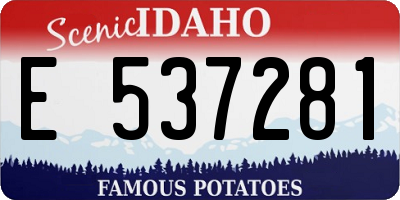 ID license plate E537281
