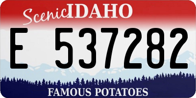 ID license plate E537282