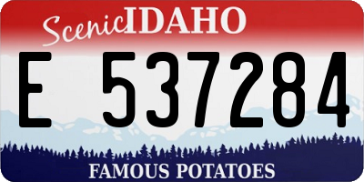 ID license plate E537284