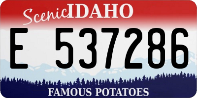 ID license plate E537286