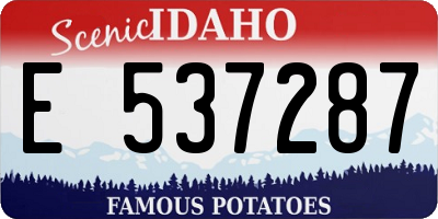 ID license plate E537287