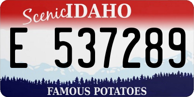 ID license plate E537289