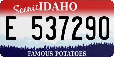 ID license plate E537290