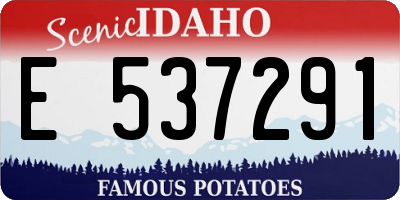 ID license plate E537291