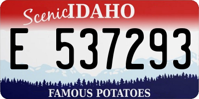 ID license plate E537293