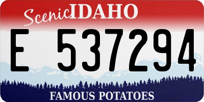 ID license plate E537294