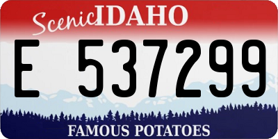 ID license plate E537299