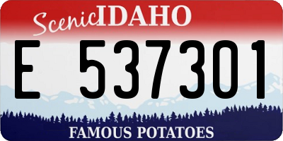 ID license plate E537301