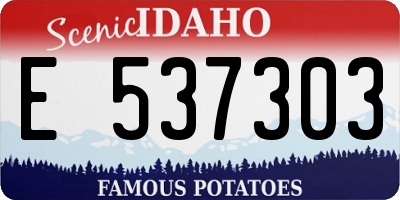 ID license plate E537303