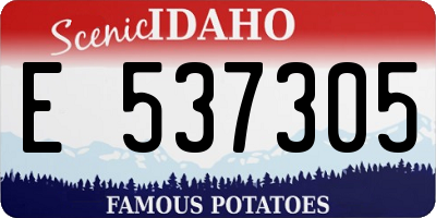 ID license plate E537305