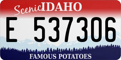 ID license plate E537306