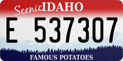 ID license plate E537307