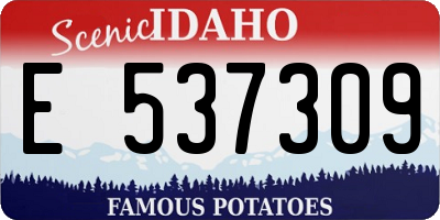 ID license plate E537309