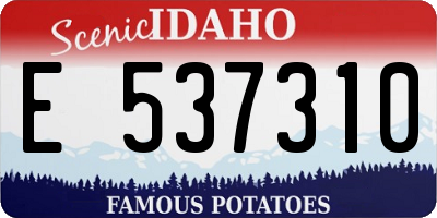 ID license plate E537310