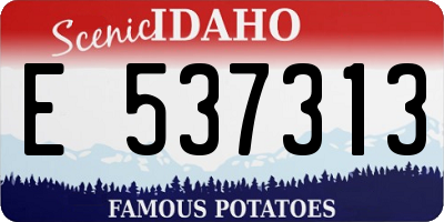 ID license plate E537313