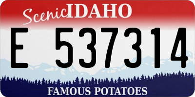 ID license plate E537314