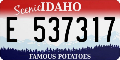 ID license plate E537317