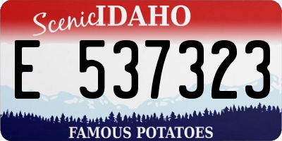ID license plate E537323