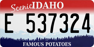 ID license plate E537324